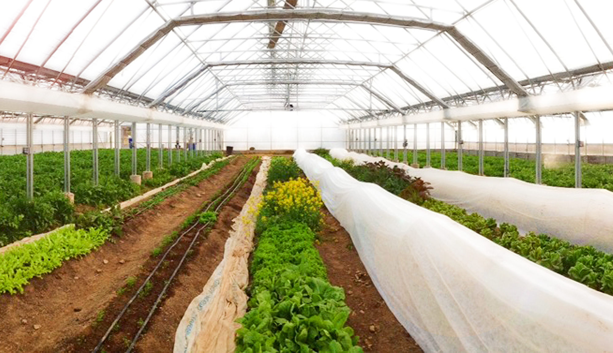 Farms, Gardens & Greenhouses | Living Web Farms