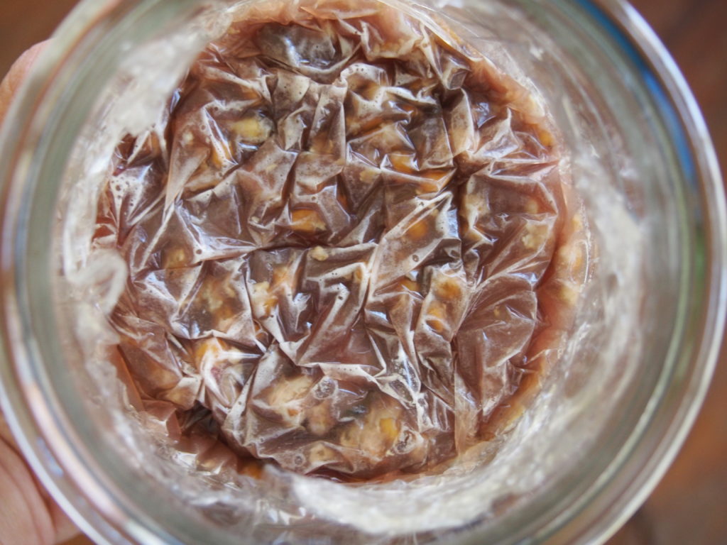 Making Fish Sauce, Fish Fertilizer, and Garums Living  Farms