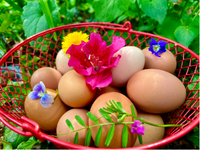Farm eggs with spring flowers